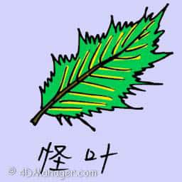 怪叶 weird leaf