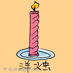 洋烛 english candle