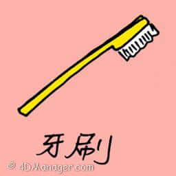 牙刷 toothbrush