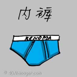 内裤 underwear
