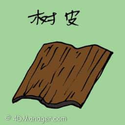 树皮 tree bark