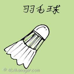 羽毛球 shuttlecock