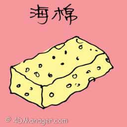 海棉 sponge