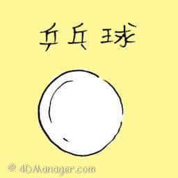 乒乓球 ping pong ball