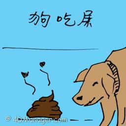 狗吃屎 dog eating shit