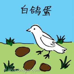 鸽子蛋 pigeon eggs