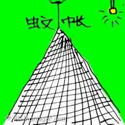 蚊帐 mosquito net
