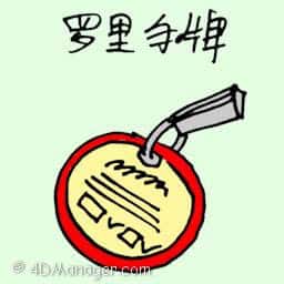 驾罗里护照 lorry license