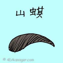 山蜞 leech