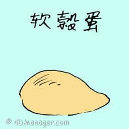 软壳蛋 soft shell egg