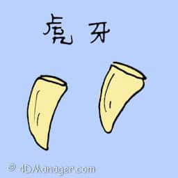 虎牙 tiger's tooth