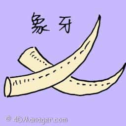 象牙 ivory