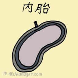 内胎 tyre tube