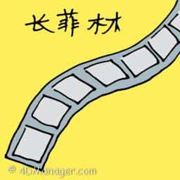 长菲林 movie film