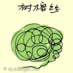 树榕丝 ficus tree