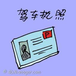 驾车执照 driving license