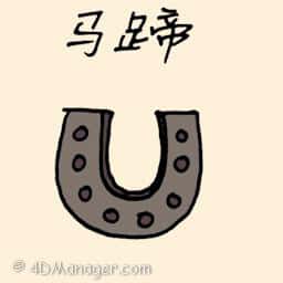 马蹄 horse shoe