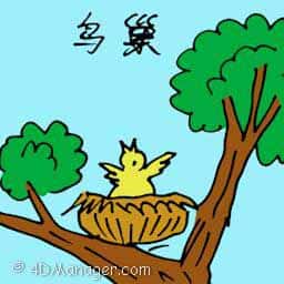 鸟巢 bird nest