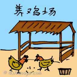 养鸡场 chicken farm