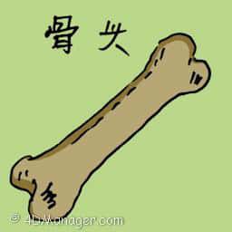 骨头 bone