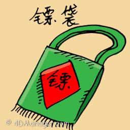 镖袋 escort bags