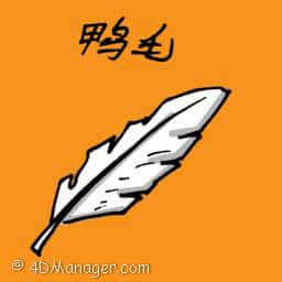 鸭毛 duck feathers