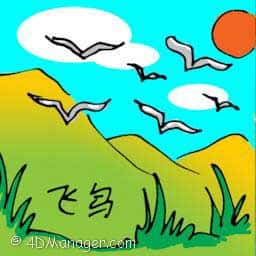 飞鸟 birds