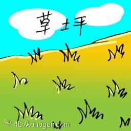 草坪 lawn