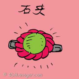 石夹 stone clip