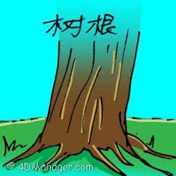 树根 tree root