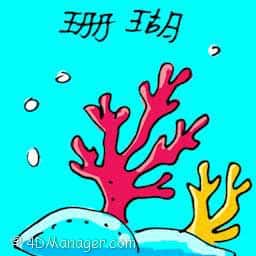 珊瑚 coral
