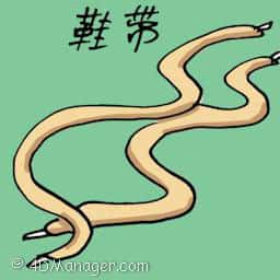 鞋带 shoe lace