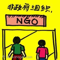 非政府组织 ngo