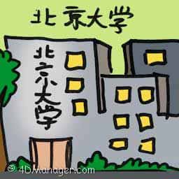 北京大学 university of peking