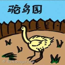 鸵鸟园 ostrich park