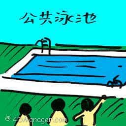 公共游泳池 public swimming pool