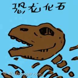 恐龙化石 dinosaur fossil