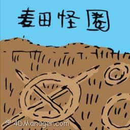 麦田怪圈 麦田怪圈 crop circles