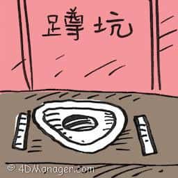 蹲坑,蹲式马桶 squat toilet