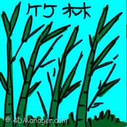 竹林 bamboo forest
