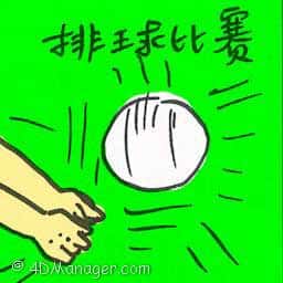排球比赛 volley ball match