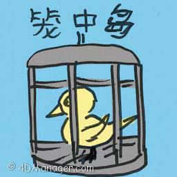 笼中鸟 caged bird