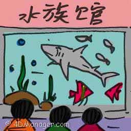 水族馆 aquarium
