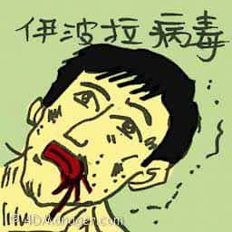 伊波拉病毒 伊波拉病毒 ebola virus
