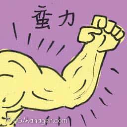 蛮力 brute force