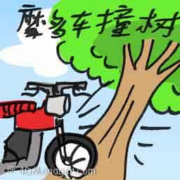 摩多撞树 motorcycle hits tree