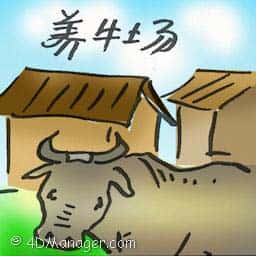 养牛场 cattle farm