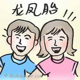 龙凤胎 boy-girl twins