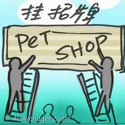 挂招牌 hanging shop sign
