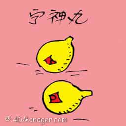 宁神丸 memory pills